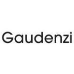 Gaundezi: SAINT LAURENT